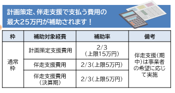早期経営改善計画策定支援の補助金枠